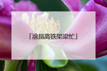 渝昆高铁架梁忙