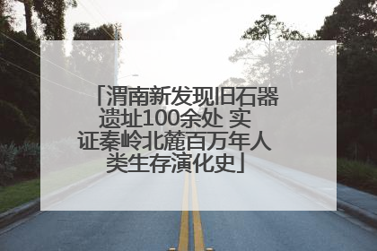 渭南新发现旧石器遗址100余处 实证秦岭北麓百万年人类生存演化史