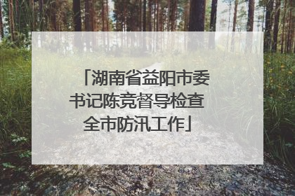 湖南省益阳市委书记陈竞督导检查全市防汛工作