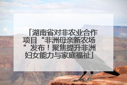 湖南省对非农业合作项目“非洲母亲新农场”发布！聚焦提升非洲妇女能力与家庭福祉