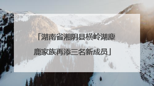 湖南省湘阴县横岭湖麋鹿家族再添三名新成员