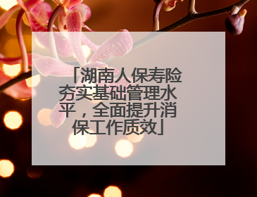 湖南人保寿险夯实基础管理水平，全面提升消保工作质效