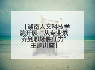 湖南人文科技学院开展“从专业素养到职场胜任力”主题讲座