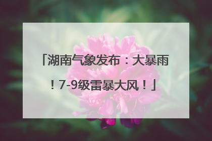 湖南气象发布：大暴雨！7-9级雷暴大风！