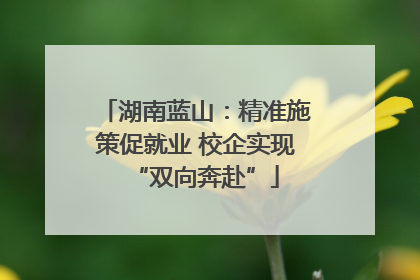 湖南蓝山：精准施策促就业 校企实现“双向奔赴”