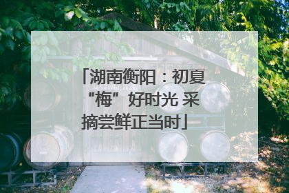 湖南衡阳：初夏“梅”好时光 采摘尝鲜正当时
