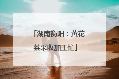 湖南衡阳：黄花菜采收加工忙