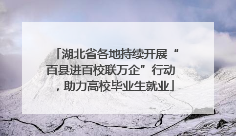 湖北省各地持续开展“百县进百校联万企”行动，助力高校毕业生就业