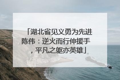 湖北省见义勇为先进陈伟：逆火而行伸援手，平凡之躯亦英雄