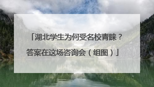 湖北学生为何受名校青睐？答案在这场咨询会（组图）