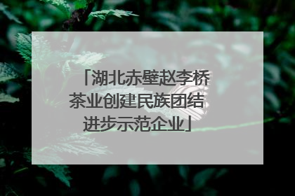 湖北赤壁赵李桥茶业创建民族团结进步示范企业