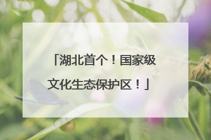 湖北首个！国家级文化生态保护区！