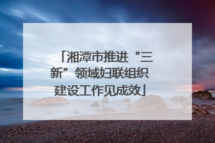 湘潭市推进“三新”领域妇联组织建设工作见成效