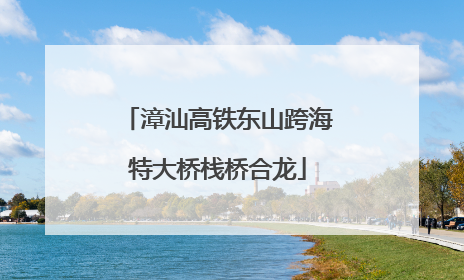 漳汕高铁东山跨海特大桥栈桥合龙