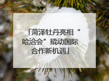 菏泽牡丹亮相“哈洽会”撬动国际合作新机遇
