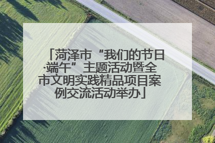 菏泽市“我们的节日·端午”主题活动暨全市文明实践精品项目案例交流活动举办