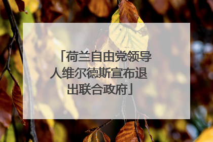 荷兰自由党领导人维尔德斯宣布退出联合政府