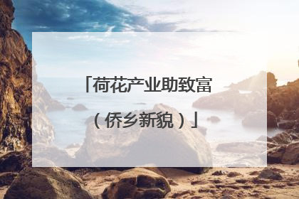 荷花产业助致富（侨乡新貌）