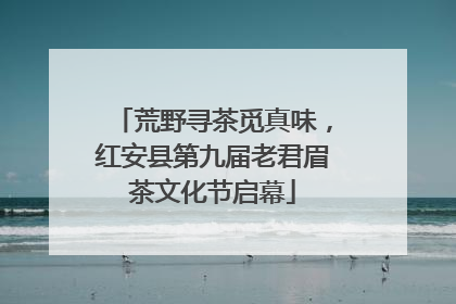 荒野寻茶觅真味，红安县第九届老君眉茶文化节启幕