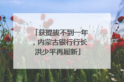 获提拔不到一年，内蒙古银行行长洪少平再履新