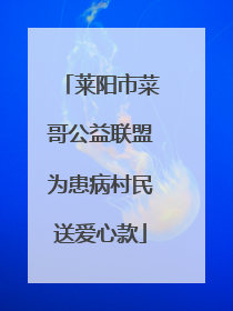 莱阳市菜哥公益联盟为患病村民送爱心款