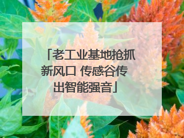 老工业基地抢抓新风口 传感谷传出智能强音