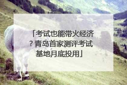 考试也能带火经济？青岛首家测评考试基地月底投用