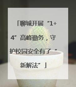 聊城开展“1+4”高峰勤务，守护校园安全有了“新解法”