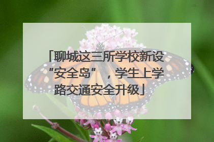 聊城这三所学校新设“安全岛”，学生上学路交通安全升级
