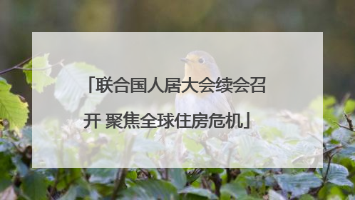 联合国人居大会续会召开 聚焦全球住房危机