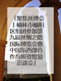 聚焦丝博会丨榆林市榆阳区组团参加第九届丝绸之路国际博览会暨中国东西部合作与投资贸易洽谈会