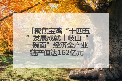 聚焦宝鸡“十四五”发展成就丨岐山“一碗面”经济全产业链产值达162亿元 入选全国典型县