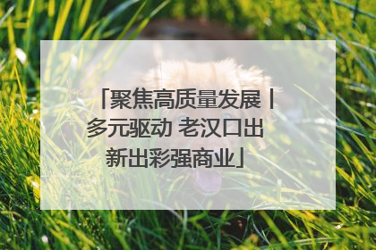 聚焦高质量发展丨多元驱动 老汉口出新出彩强商业