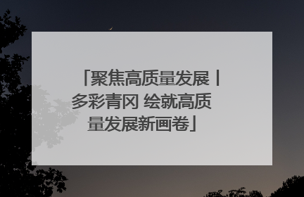 聚焦高质量发展丨多彩青冈 绘就高质量发展新画卷