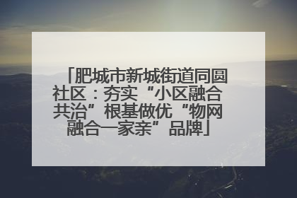 肥城市新城街道同圆社区：夯实“小区融合共治”根基做优“物网融合一家亲”品牌