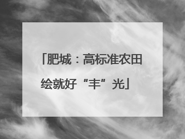 肥城：高标准农田绘就好“丰”光