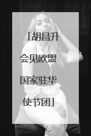 胡昌升会见欧盟国家驻华使节团