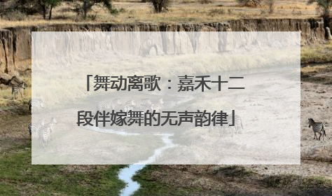 舞动离歌:嘉禾十二段伴嫁舞的无声韵律
