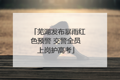 芜湖发布暴雨红色预警 交警全员上岗护高考