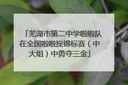芜湖市第二中学啦啦队在全国啦啦操锦标赛（中大组）中勇夺三金