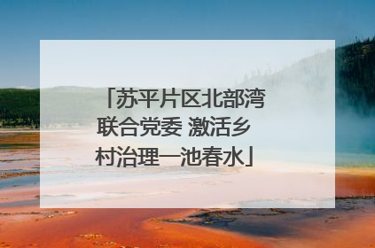 苏平片区北部湾联合党委 激活乡村治理一池春水