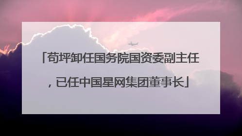 苟坪卸任国务院国资委副主任，已任中国星网集团董事长