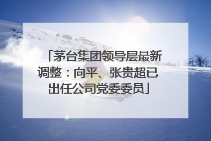茅台集团领导层最新调整：向平、张贵超已出任公司党委委员