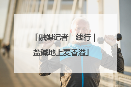 融媒记者一线行｜盐碱地上麦香溢