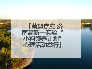 萌趣疗愈 济南高新一实验“小狗领养计划”心理活动举行