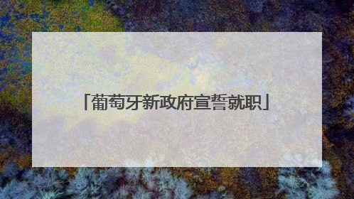 葡萄牙新政府宣誓就职