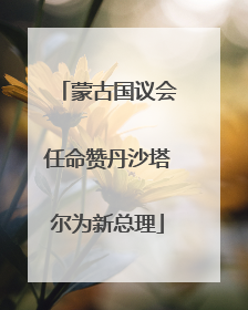 蒙古国议会任命赞丹沙塔尔为新总理