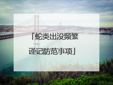 蛇类出没频繁 谨记防范事项