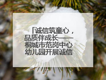 诚信筑童心，品质伴成长——桐城市范岗中心幼儿园开展诚信教育系列活动