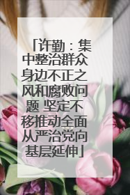 许勤：集中整治群众身边不正之风和腐败问题 坚定不移推动全面从严治党向基层延伸